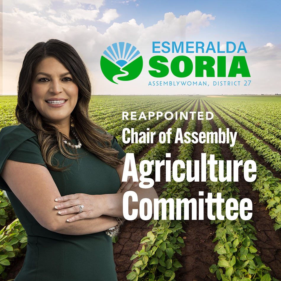 Ag Chair