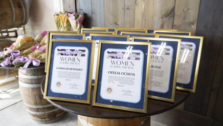 Annual AD27 Women Leading the Way Event