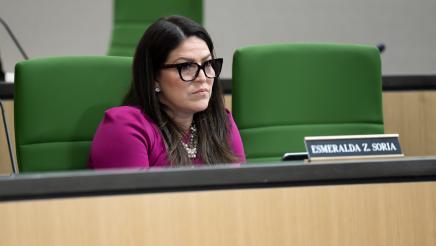 Assemblywoman Soria at the Business and Professions Committee Hearing